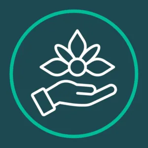 Health and Wellbeing